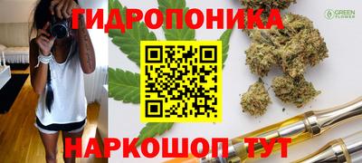 PSILOCYBIN Абакан