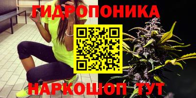 PSILOCYBIN Абакан