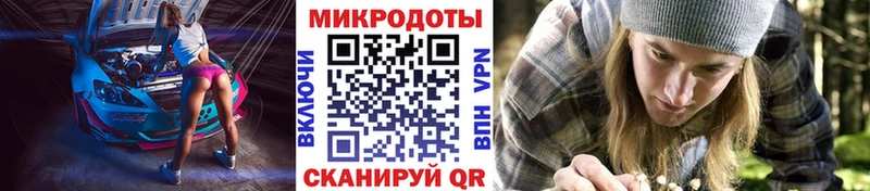 Галлюциногенные грибы ЛСД  как найти   блэк спрут вход  Апатиты 