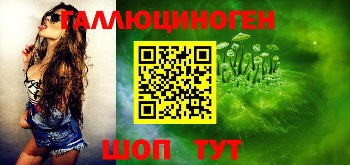 Апатиты  купить   Вход с VPN  Псилоцибиновые грибы Cubensis 