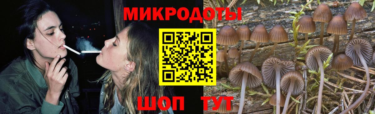 Галлюциногенные грибы Psilocybine cubensis  Вход с VPN  Псилоцибиновые грибы Psilocybe  Апатиты 