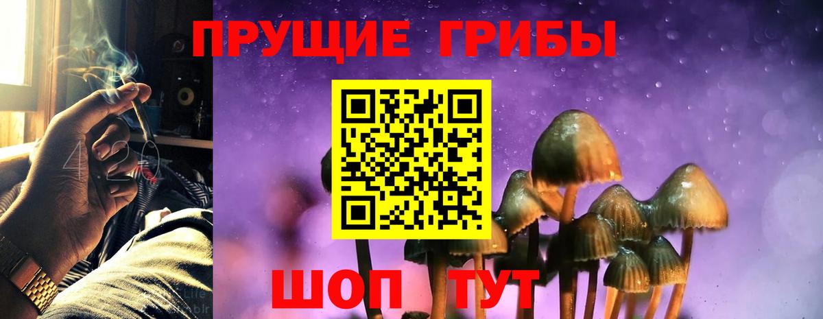 Галлюциногенные грибы прущие грибы Апатиты