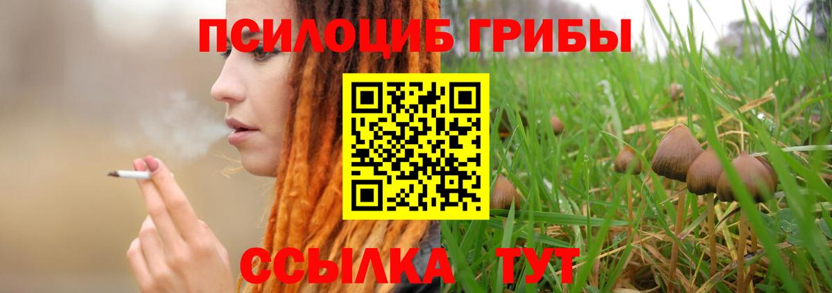 Псилоцибиновые грибы мицелий Апатиты