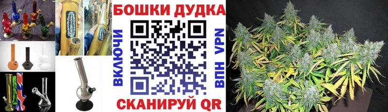 закладка  Апатиты  Каннабис OG Kush 